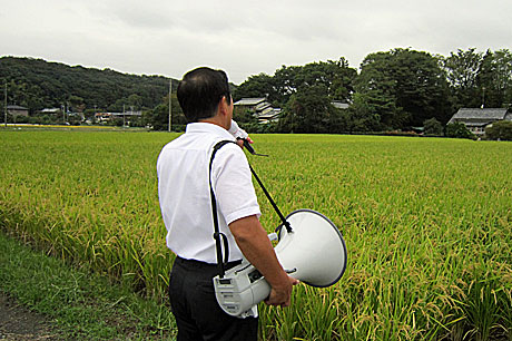 2013_10_04_田圃に向かって