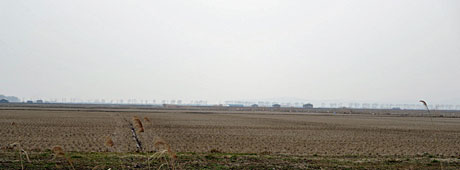 2015_03_18_たんぼ6